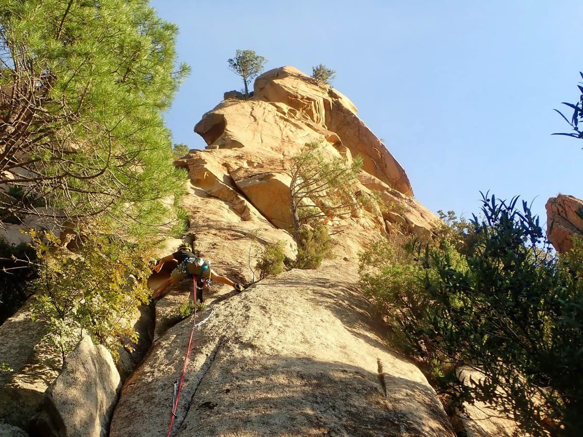 The start of pitch 1: a granite slab beside a pine (October 2019 party).