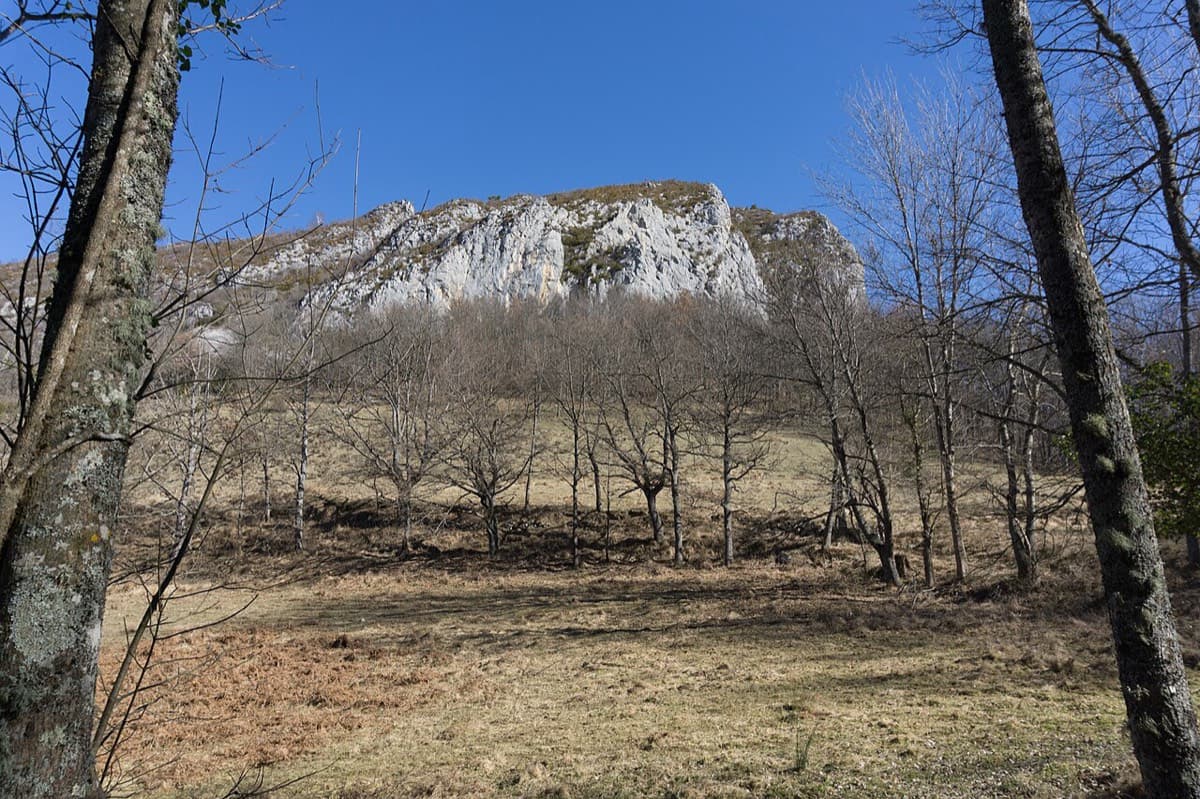 The limestone Roc de Calamès, crowned by the ruins of its castle, seen from the meadows below.