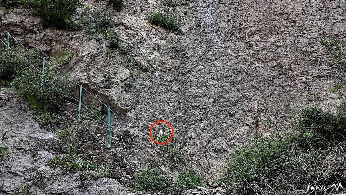 The Boney M marking on the rock (circled in red by the photographer) beside the green handrail at the foot of the rock-cut staircase.