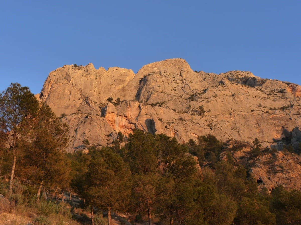 The Cabeçó d'Or cliff above the pine slopes in evening light, photographed on a day climbing Chica Sputnik (December 2015).