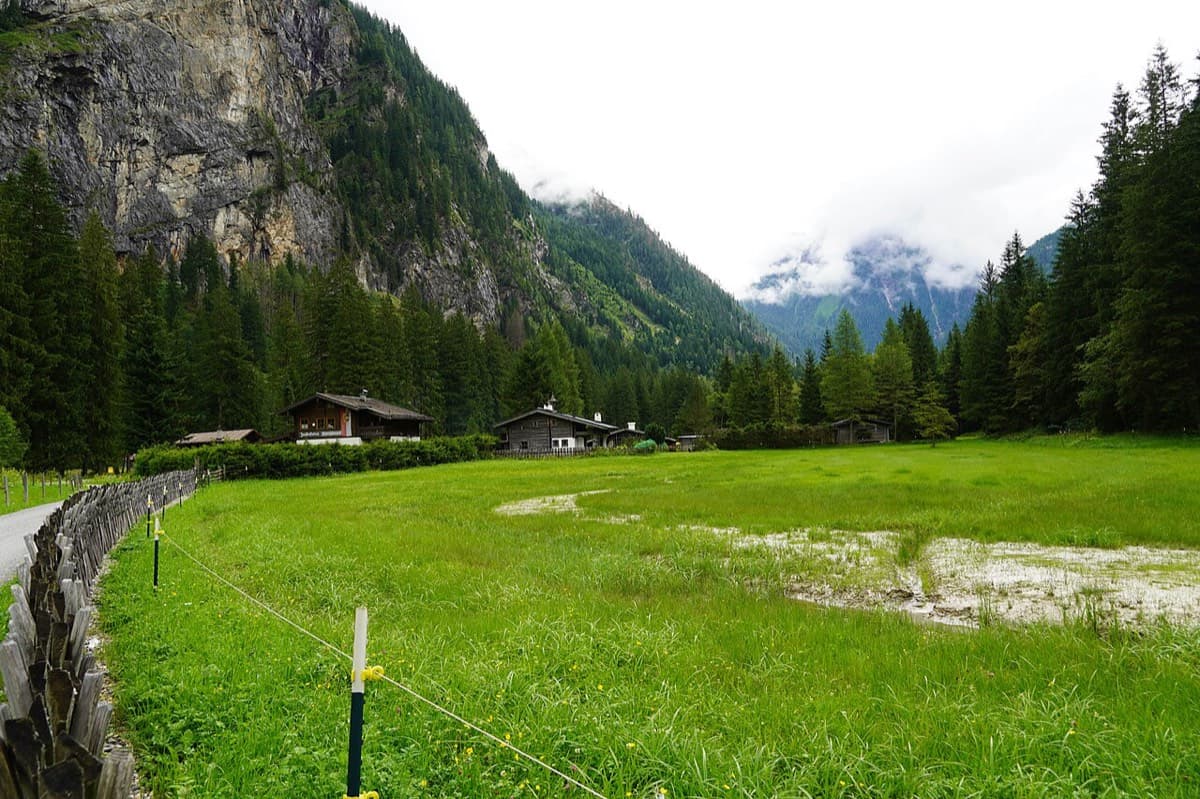 The meadows on the way to the Himmelwandhütte, looking up the valley: the road runs along the fence on the left, passes the hut and continues towards the head of the valley.