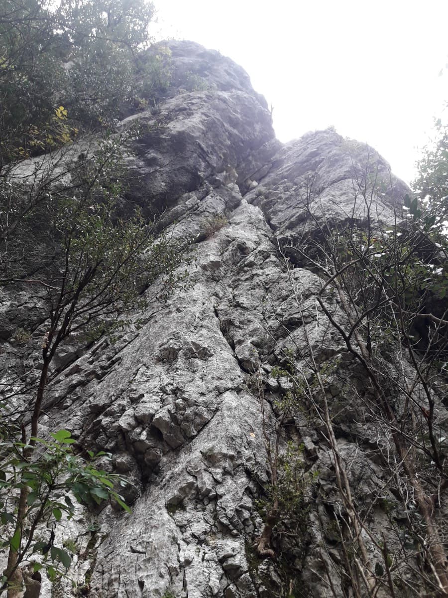 Looking up the start of the first pitch (November 2019).