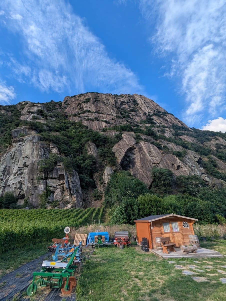 Overall view of the face from the valley floor, across the vineyard, taken by a party that climbed Lo Dzerby (June 2026).