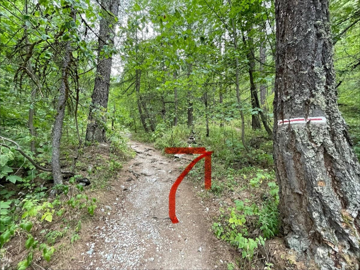 The turn-off for the Palavar sector: just after the tree with the red line, leave the main Sélé path by the track on the right (red arrow).