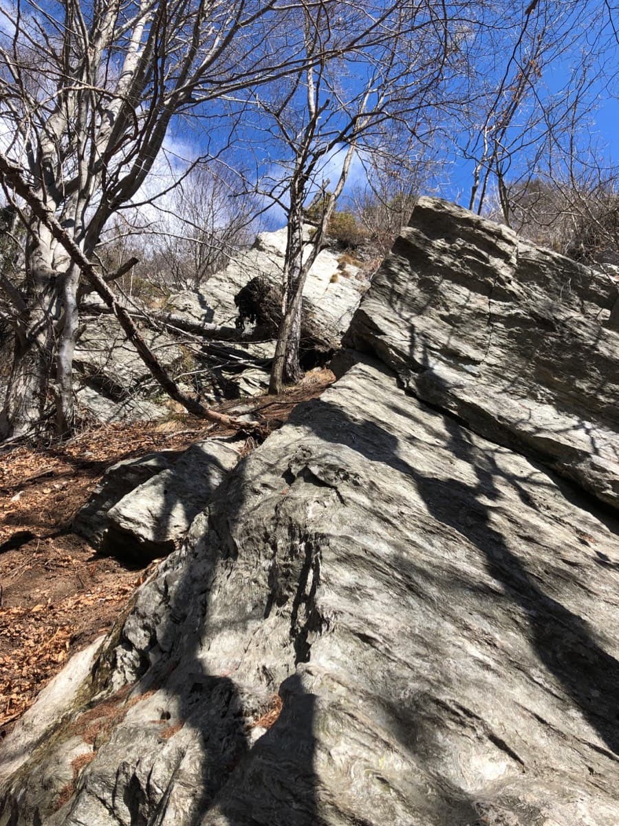 The start of Spigolo Verde in the woods: a slabby rock rib beside the path (April 2022).