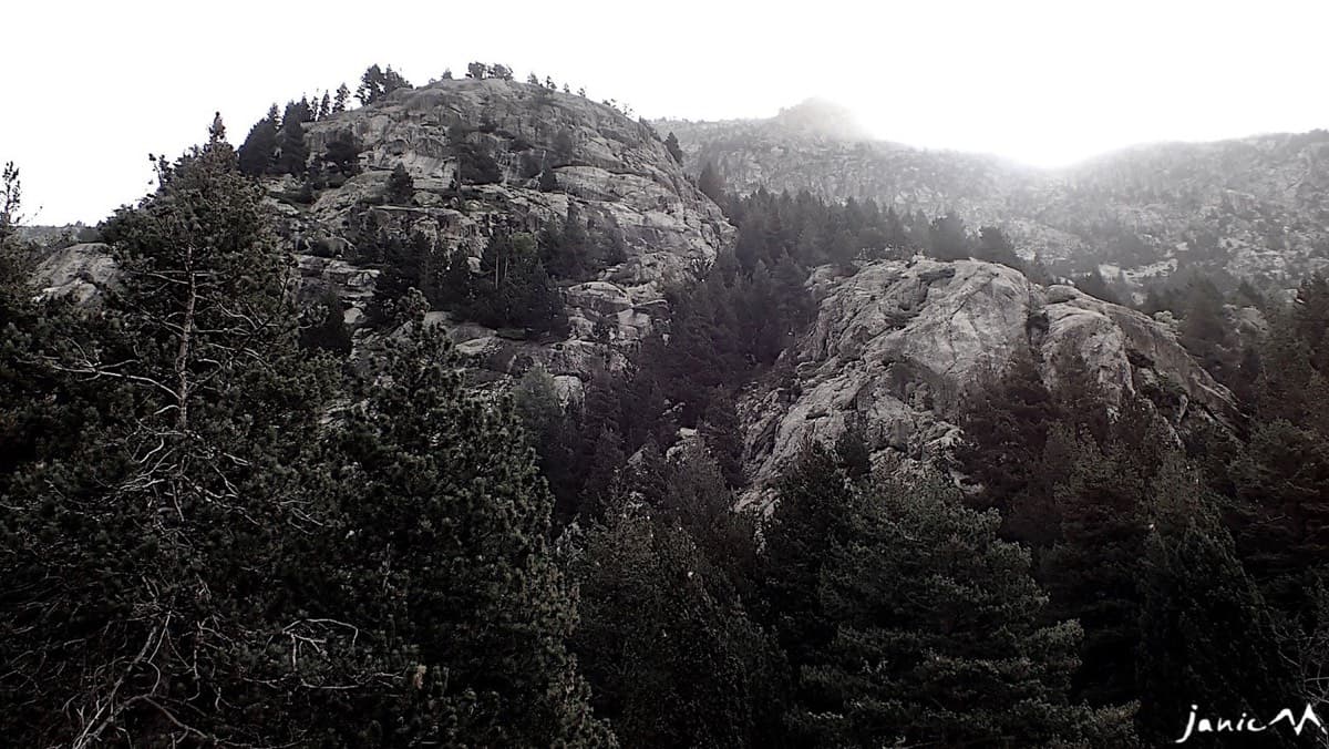 The granite domes of the Pared de Molondro rising above the pines, as seen on the walk-in (June 2022).