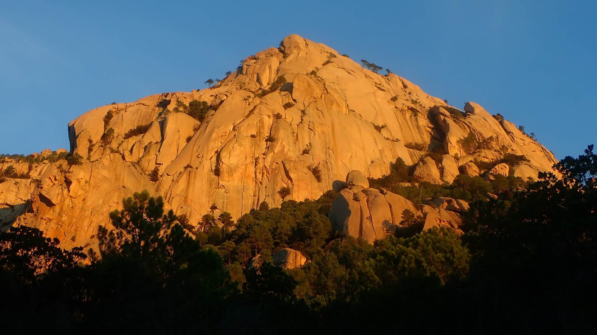 The granite dome of Teghie Lisce glowing at sunrise above the pines of Bavella; Acqua in bocca climbs its slabs, the line is not marked.