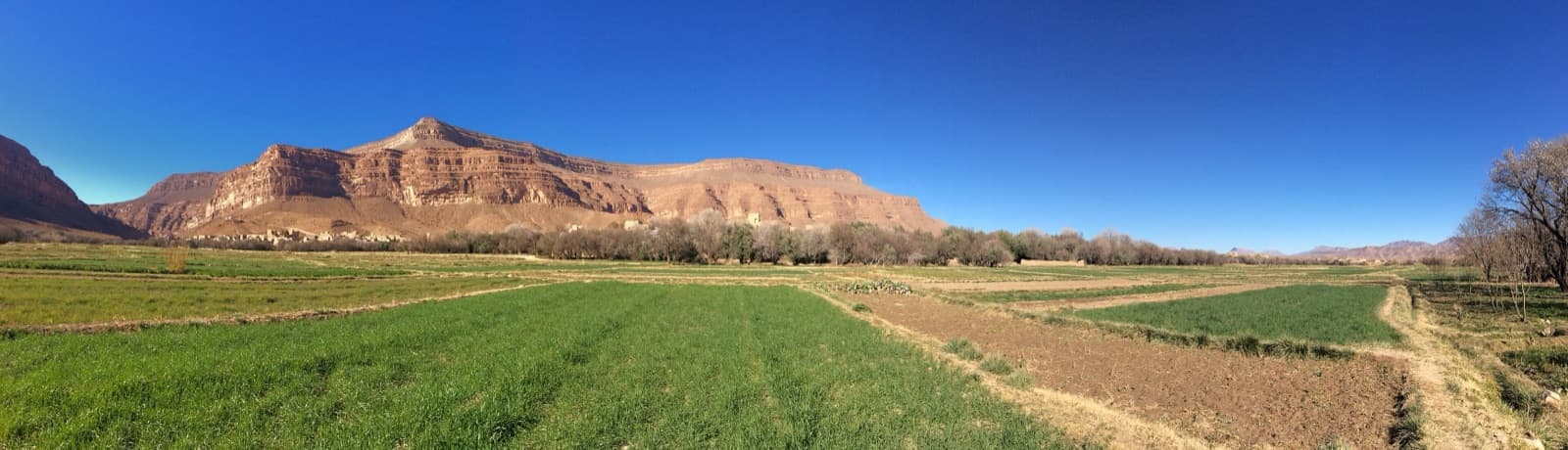 Fields in the Gheris valley at Amellago beneath the banded limestone escarpments of the eastern High Atlas.