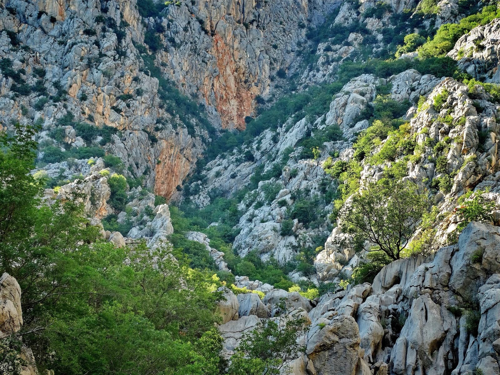 The walls and karst pinnacles of the Velika Paklenica canyon.