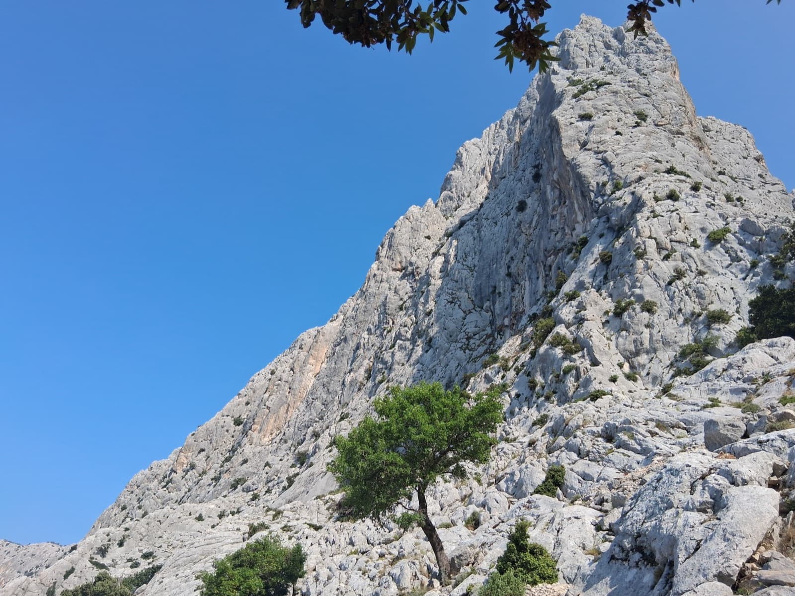 Looking up the pale limestone of Punta Cusidore from the foot of the wall.