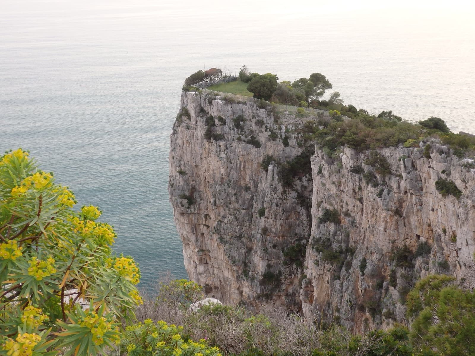 The limestone sea cliff of the Montagna Spaccata on Monte Orlando, Gaeta, dropping from the park's edge into the Tyrrhenian Sea.