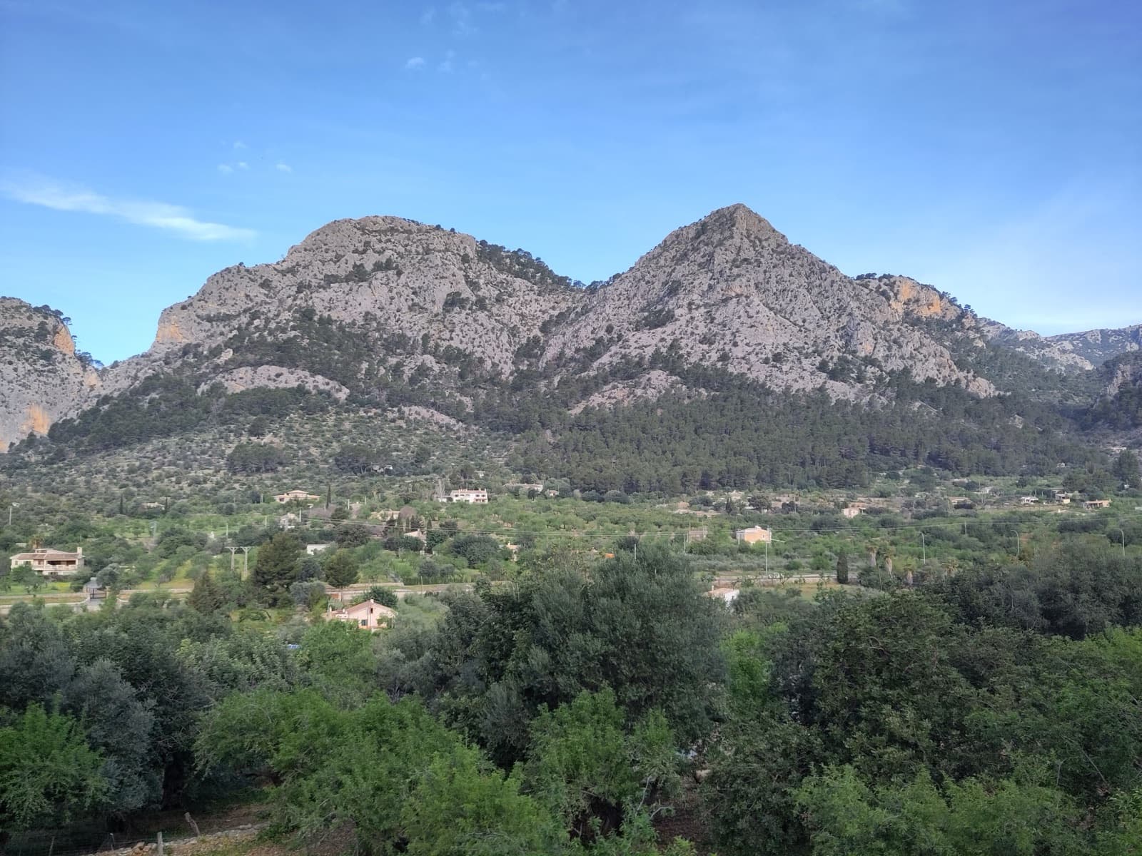The Puig de s'Alqueria (the Sa Gubia massif, right) and Puig de Son Nassi seen from the Sóller railway near Bunyola.