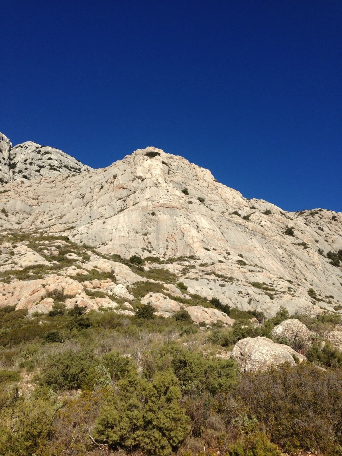 The Carrière sector of Sainte-Victoire seen from the approach through the garrigue.