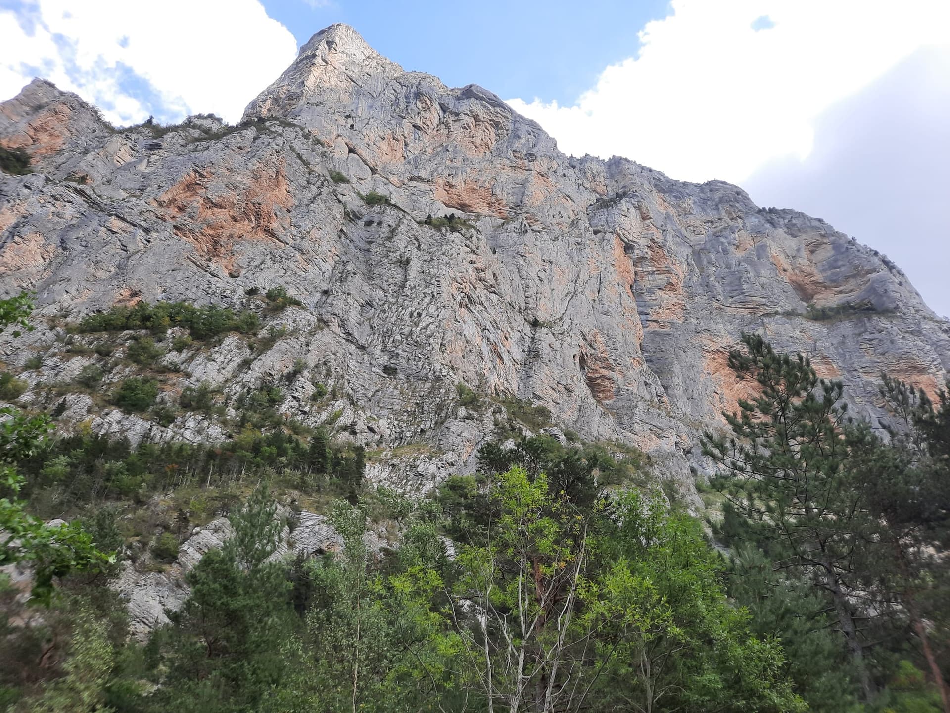 The Petite Roche wall at Les Gillardes seen from the foot of the face; Les Maîtres du Jeu climbs it, the line is not marked.