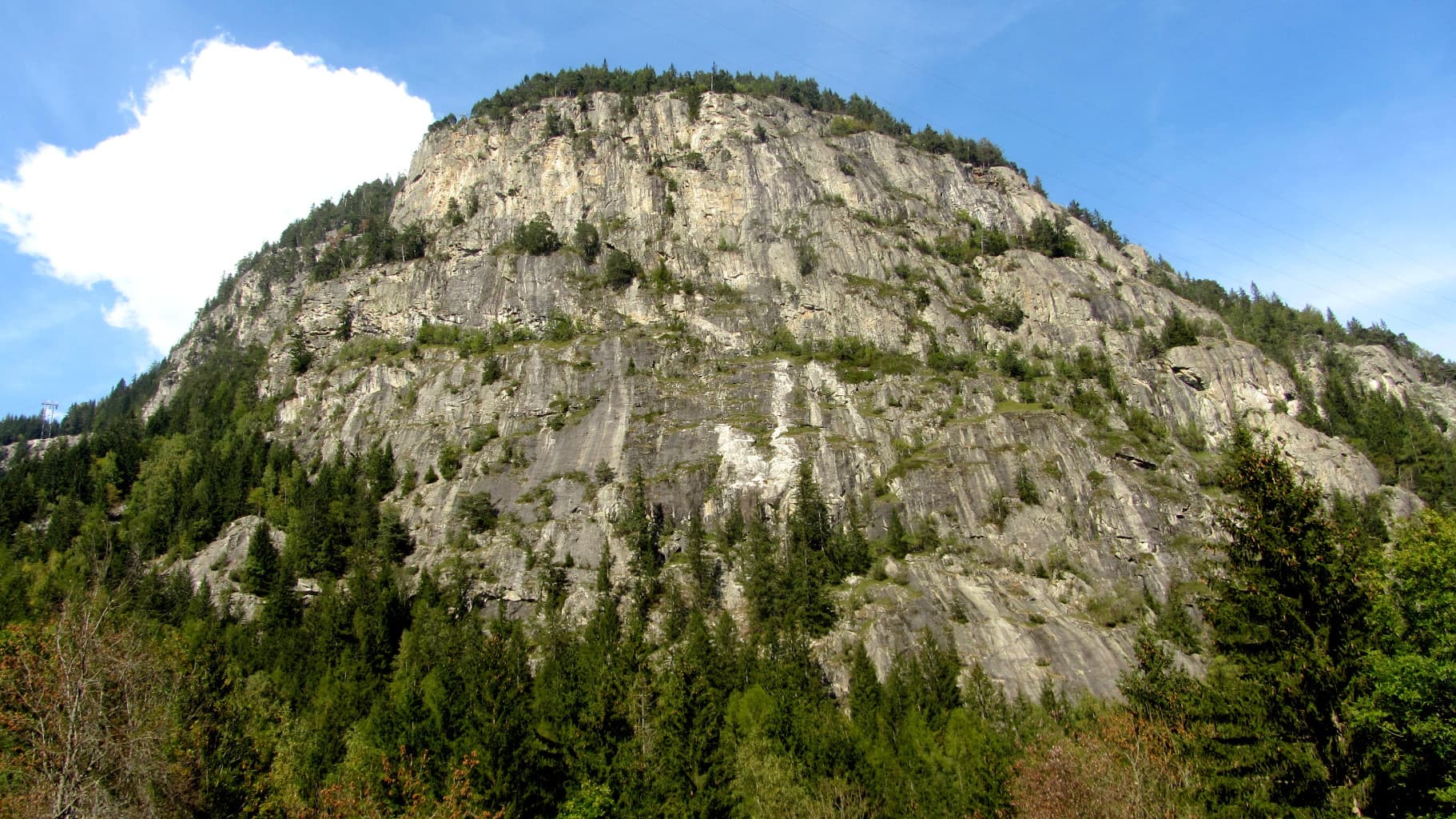 The Barberine cliff above the spruce forest at Vallorcine; Méduse climbs this wall, the line is not marked.