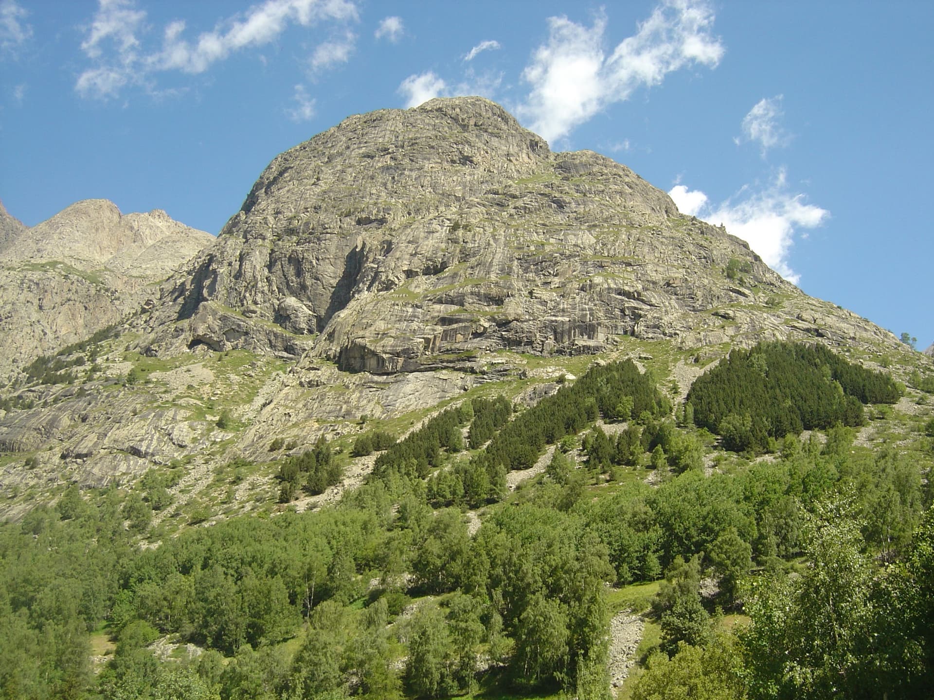 The granite slabs of the south face of the Tête de la Maye above the larches of La Bérarde; Pujolidal climbs this face, the exact line is not marked.