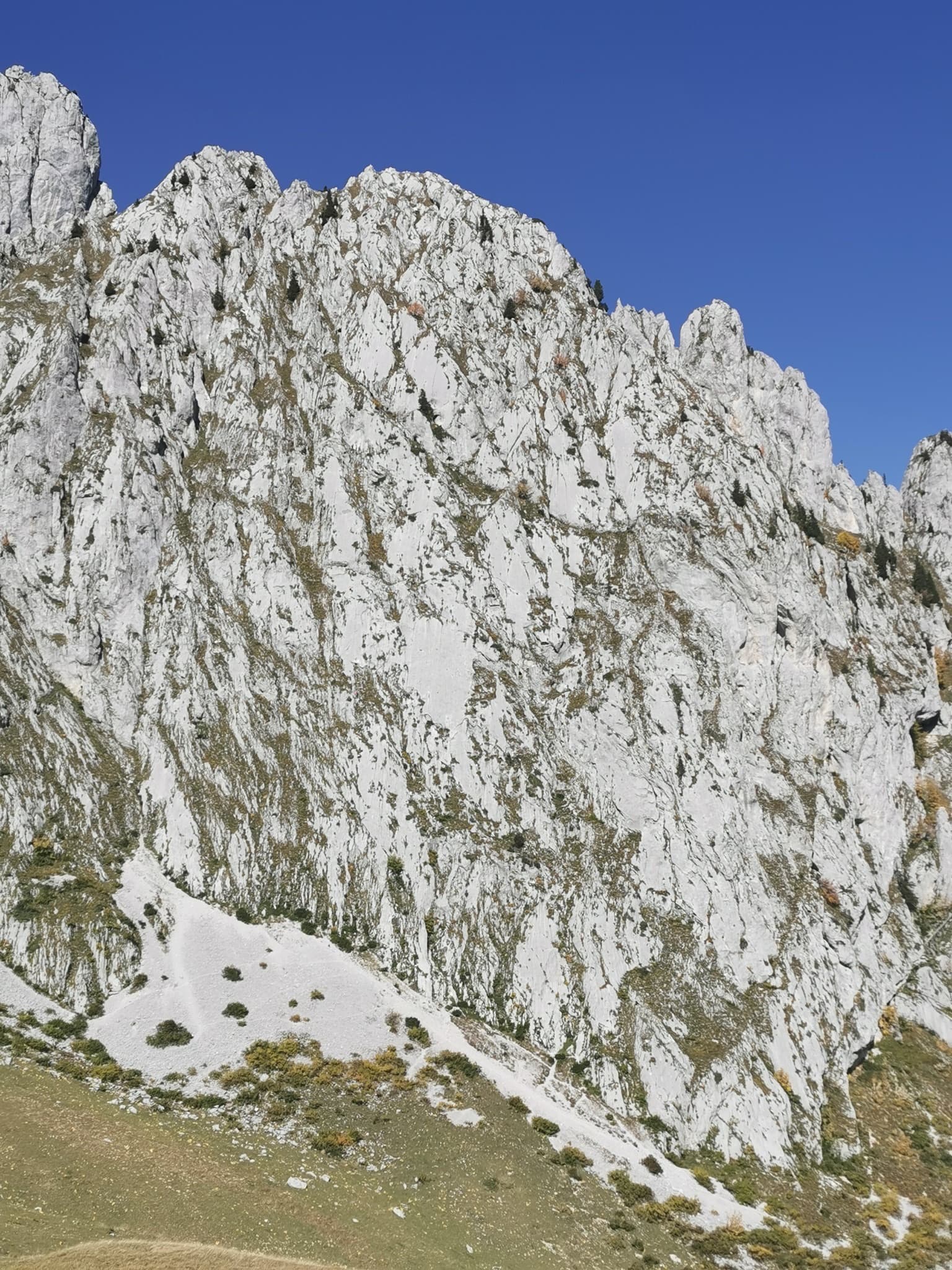 The pale limestone south face of the Pfadflue (Grand Pfad) in the Gastlosen.