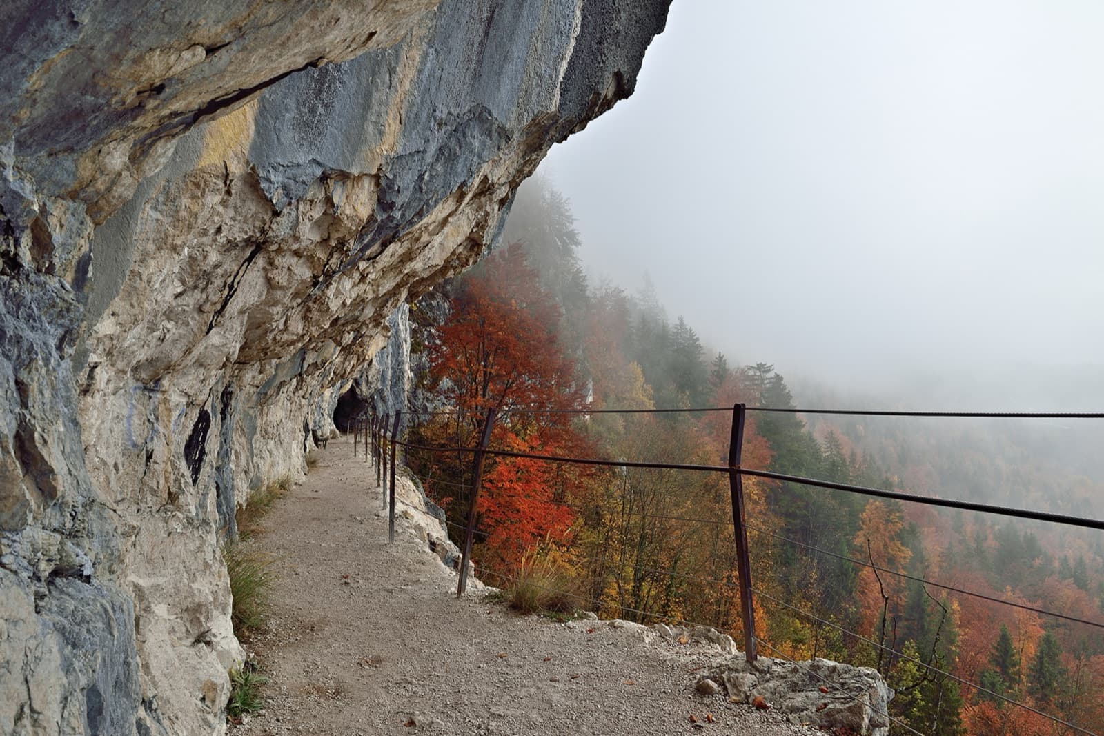 Autumn fog on the Ewige Wand path, with the overhanging limestone above.
