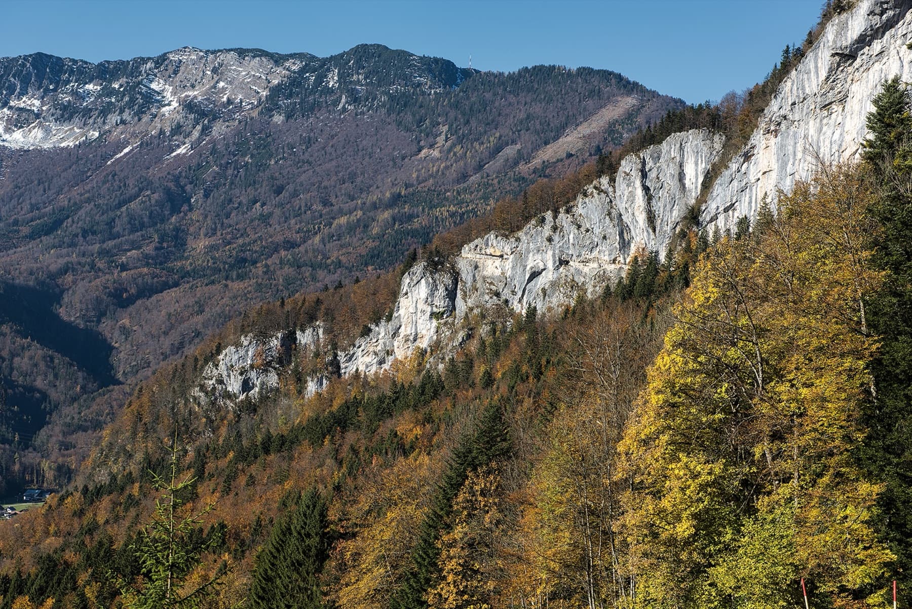 The Ewige Wand cliff band above Bad Goisern in autumn; the exact line is not marked.