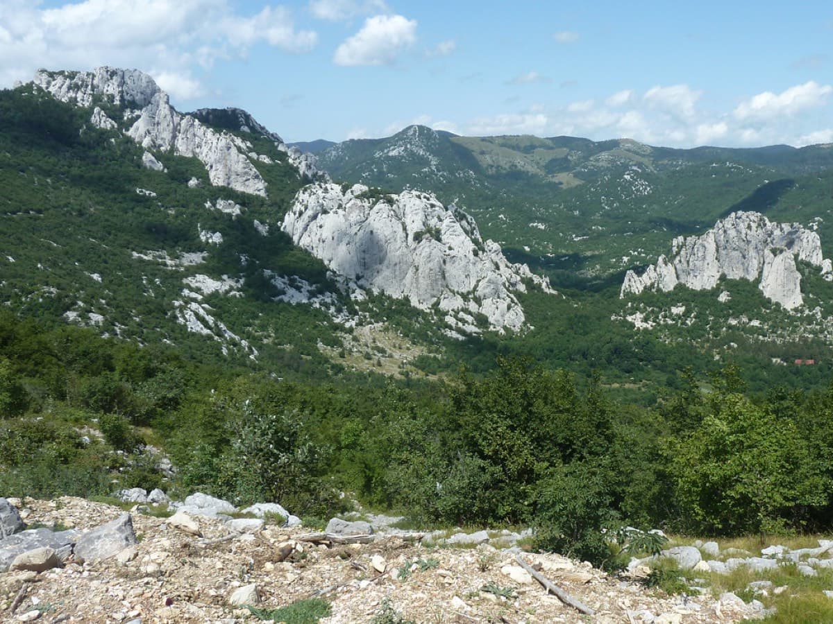 Rujičin kuk, Dabarski kukovi