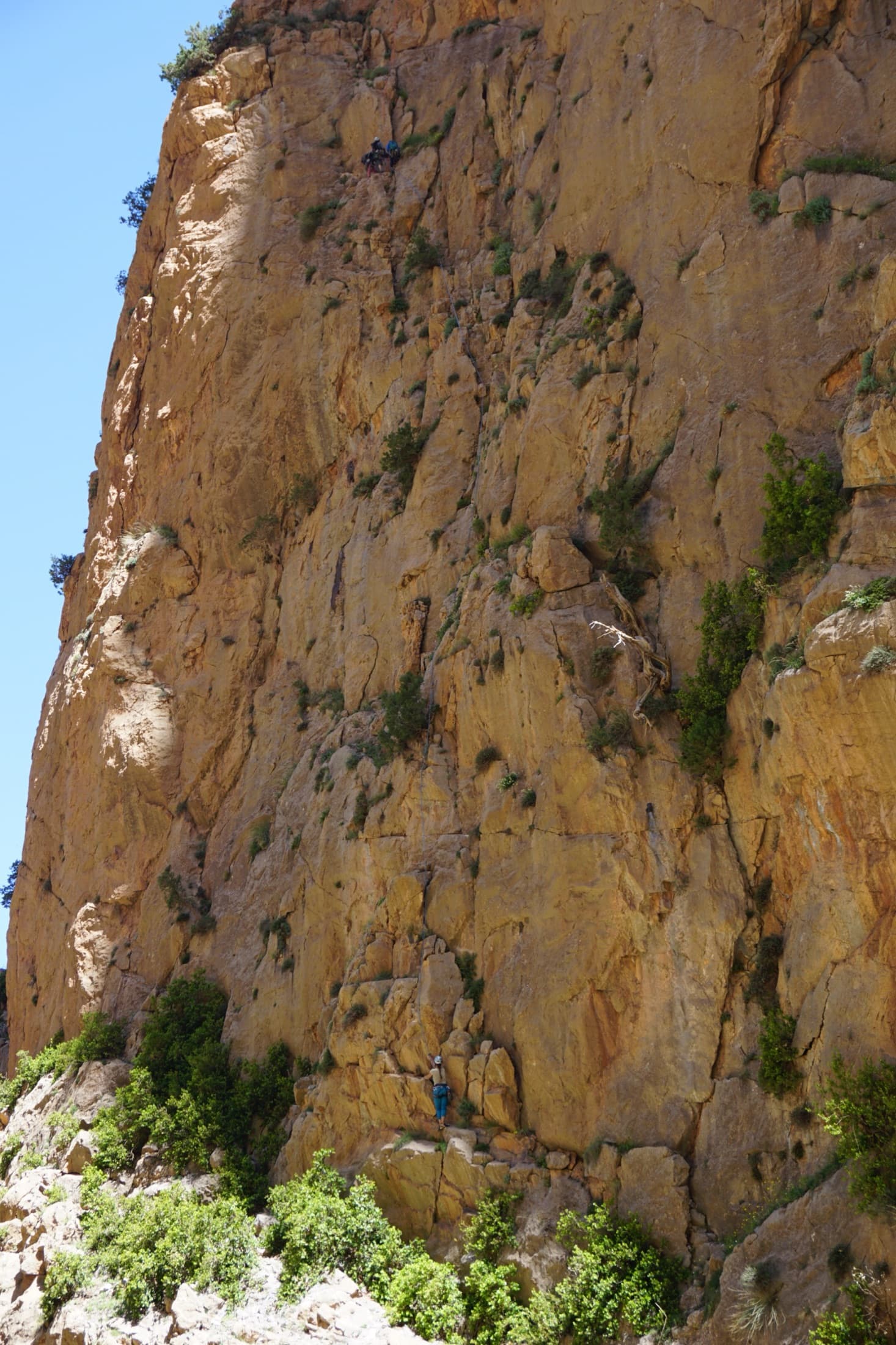 The orange limestone of the Paroi des Sources at Taghia, with climbers on its routes.