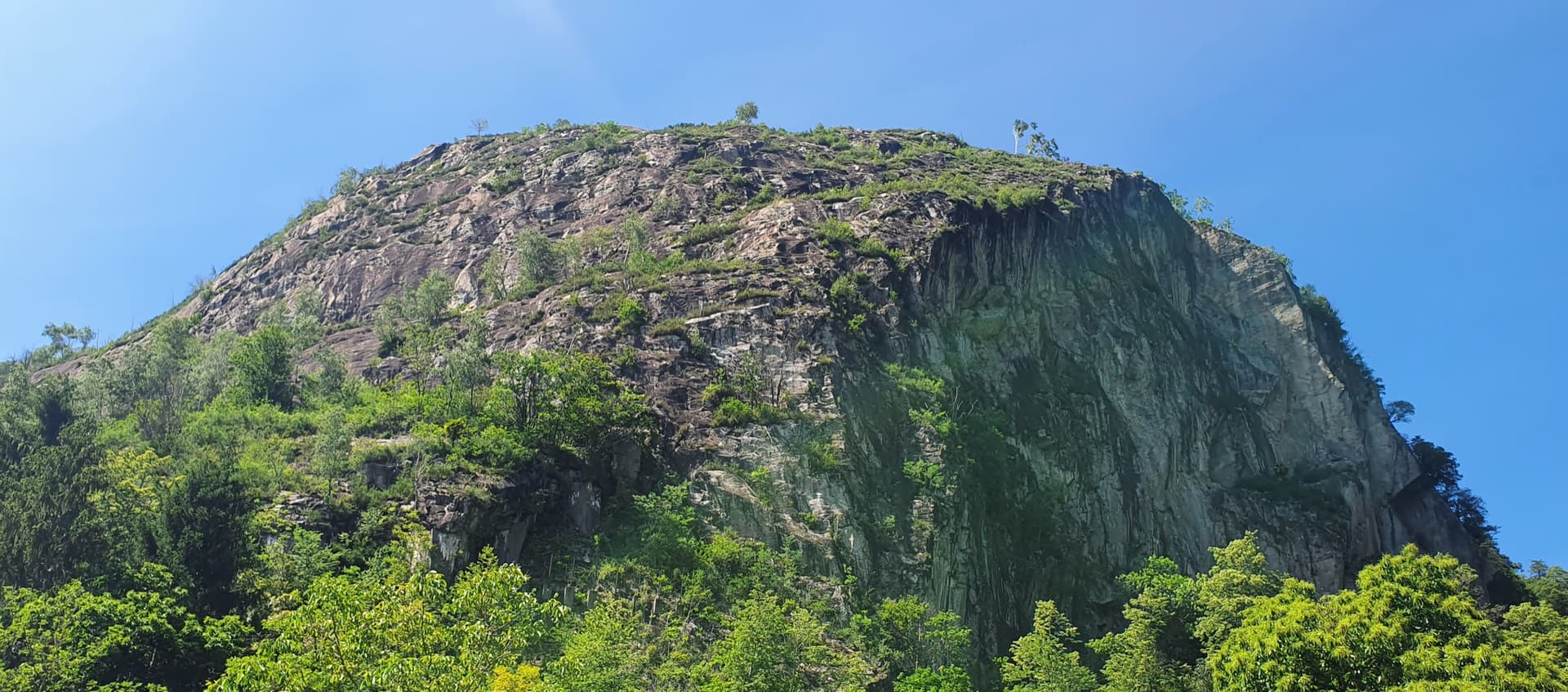 A gneiss dome of the Speroni di Ponte Brolla rising out of the chestnut forest: slabs on the left, a steep dark wall on the right.