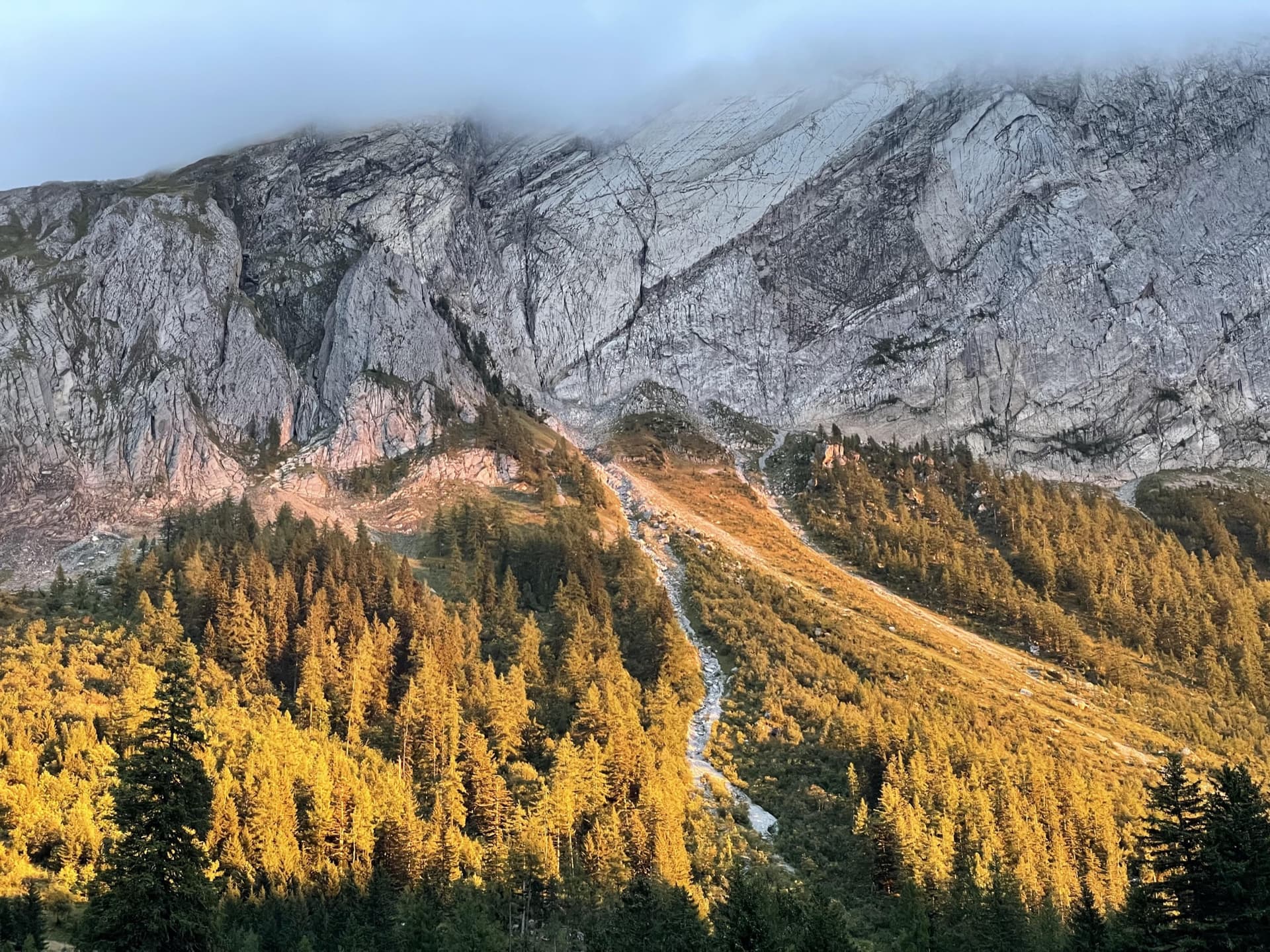 The Miroir d'Argentine above the larches of Solalex in evening light, cloud sitting on the ridge.