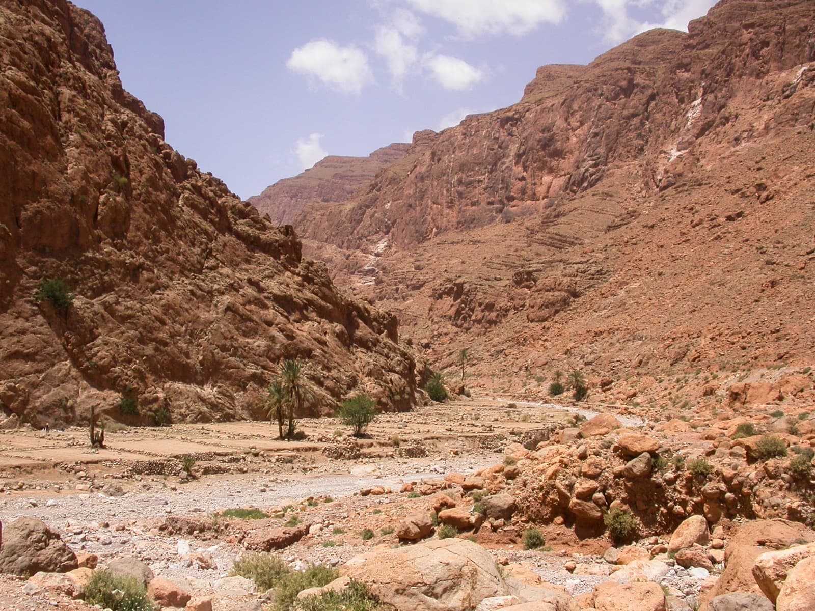 Palms and garden terraces on the riverbed just upstream of the Todra narrows, the setting of the Jardin d'été sector.